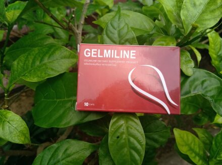 Gelmiline